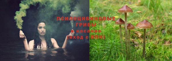 мескалин Алексеевка